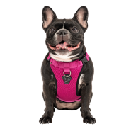 Canada Pooch Core Everything Harness Mesh Pink XL