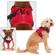 Canada Pooch Core Complete Control Harness Red XL