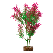Tetra GloFish Plant Medium Green/Pink