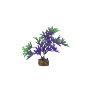 Tetra GloFish Plant Small Purple/Green