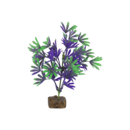 Tetra GloFish Plant Medium Purple/Green
