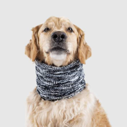 Canada Pooch Chenille Snood Grey M