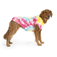Canada Pooch No Authority Hoodie Tie Dye Size 18