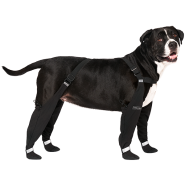 Canada Pooch Suspender Boots Black Size 3 Short