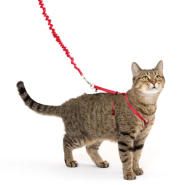 PetSafe Come With Me Kitty Harness & Bungee Leash Large Red