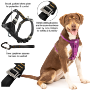 Kurgo Dog Enhanced Strength Tru-Fit Car Harness Violet Med