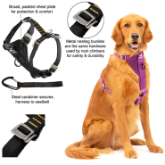 Kurgo Dog Enhanced Strength Tru-Fit Car Harness Violet Lrg