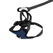 Happy Ride Vehicle Safety Harness Small 6-20 lb