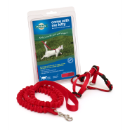 Petsafe Come with Me Kitty Harness & Bungee Leash Small Red