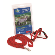 Petsafe Come with Me Kitty Harness & Bungee Leash Medium Red
