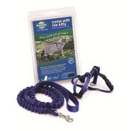PetSafe Come With Me Kitty Harness & Bungee Leash Medium Roy