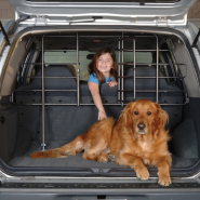 Vehicle Accessories
