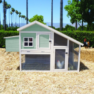 Farm Chicken Coops Pan Pacific Pet