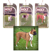 Holt Control Harness Display