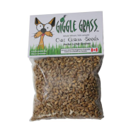 Giggle Grass Oat Grass Seeds 125 gm
