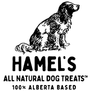Hamel
